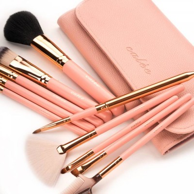 10 pcs pink  oem Eyeshadow Cosmetic Make Up Brushes Custom Logo makeup Brush Set With soft up  Kit Bag